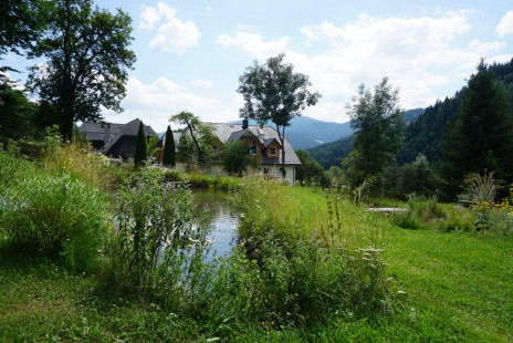 vitalhof-rohrer-sommer-familienurlaub-ferienwohnung-natur (16)