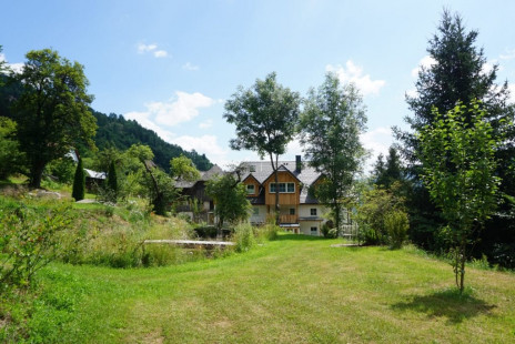 vitalhof-rohrer-sommer-familienurlaub-ferienwohnung-natur (18)