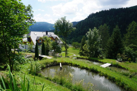 vitalhof-rohrer-sommer-familienurlaub-ferienwohnung-natur (22)