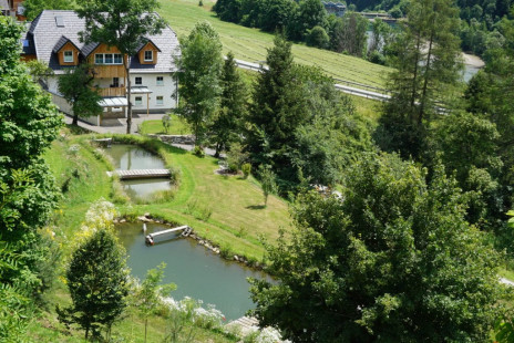 vitalhof-rohrer-sommer-familienurlaub-ferienwohnung-natur (3)